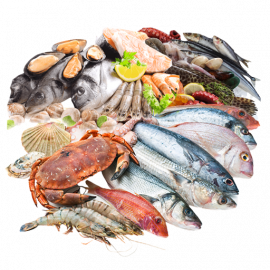 Frozen Seafood