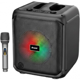 Welltech BTS-1935 Wireless Speaker