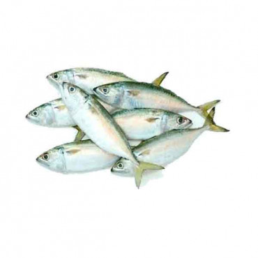 Mackerel 1kg