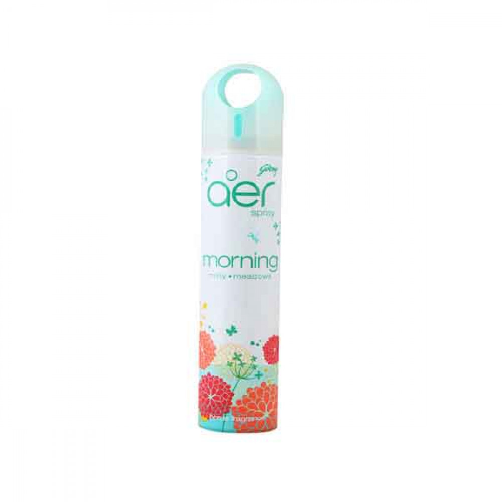 Godrej Morning Misty Meadows Aer Spray 300ml