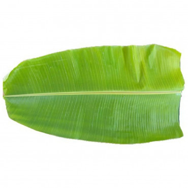 Banana Leaves 1Pc - أوراق موز 1حبة 