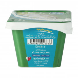 Dandy Sour Labneh 225g -- لبنة حامضة داندي 225جم 